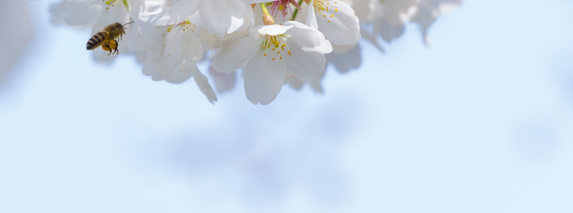 1677295672174(1).png